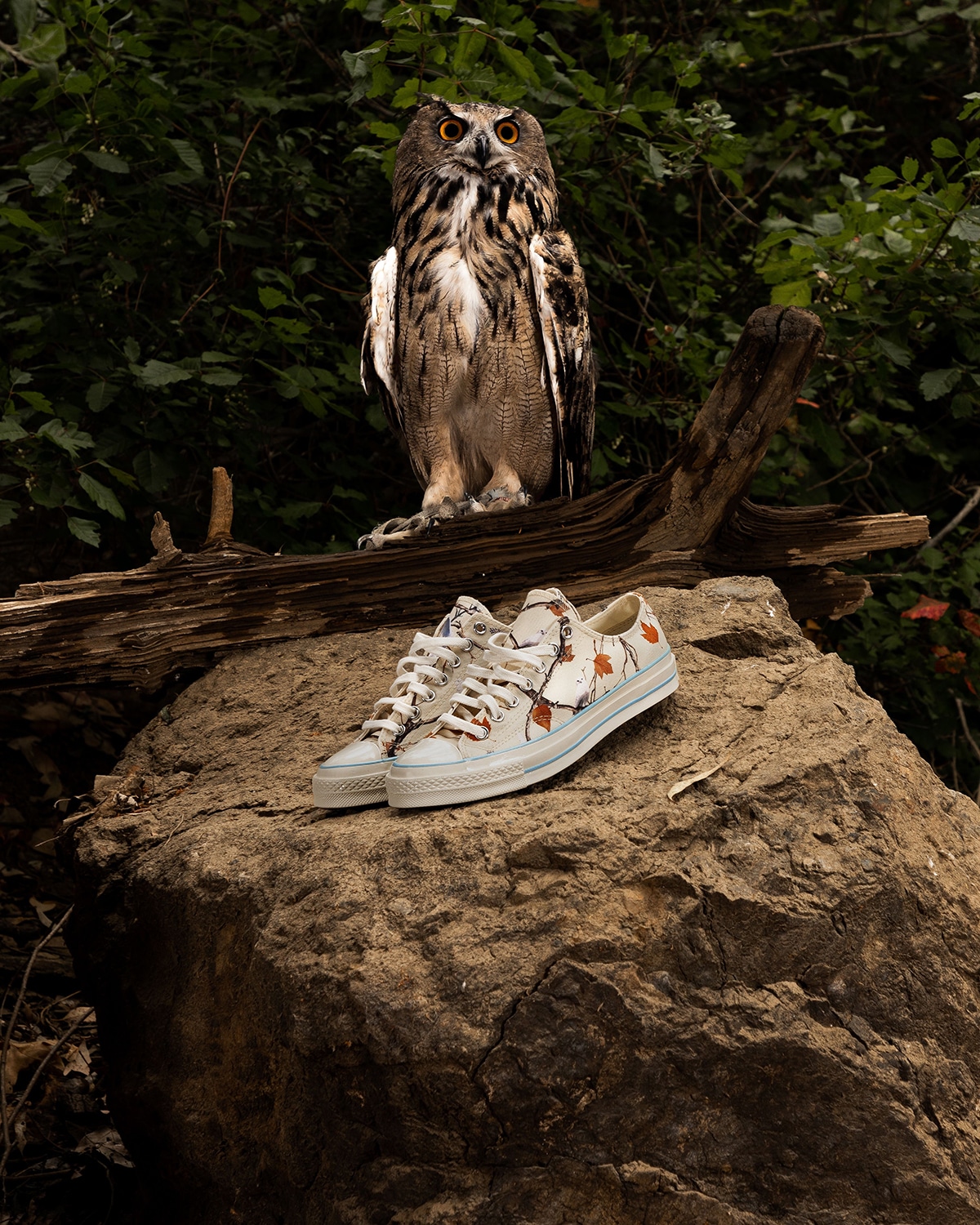 GOLF WANG x Converse Chuck 70 Owl 1