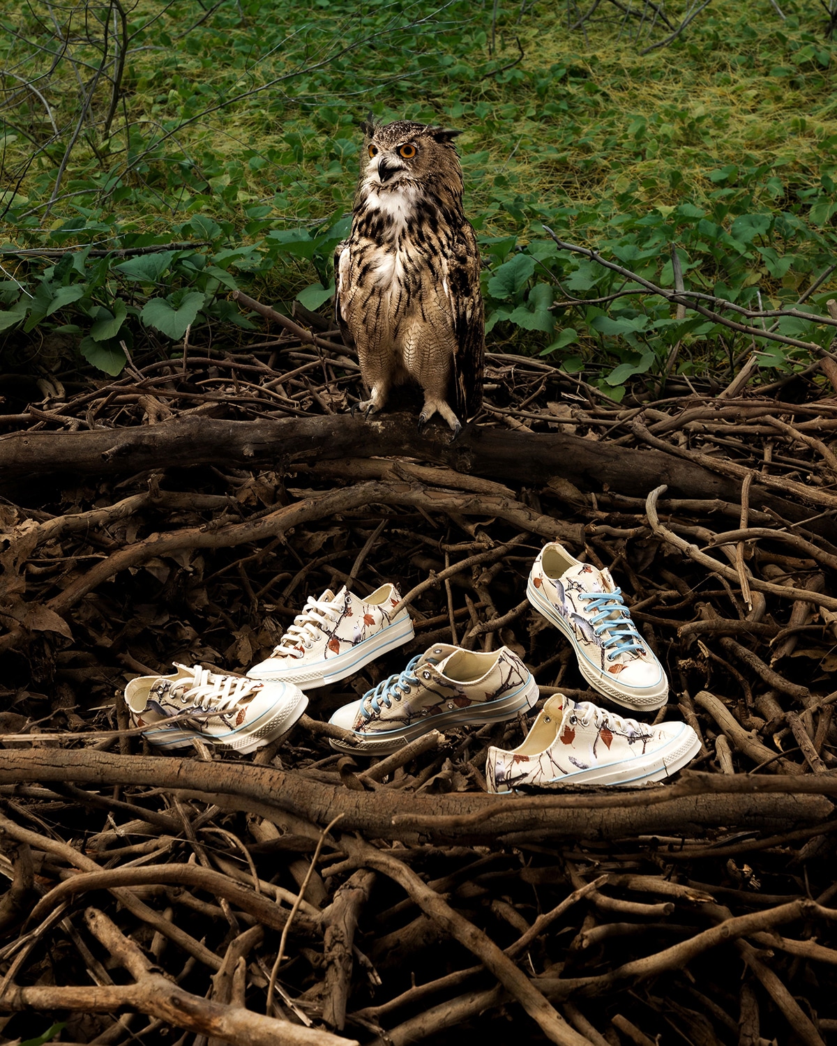 GOLF WANG x Converse Chuck 70 Owl 2