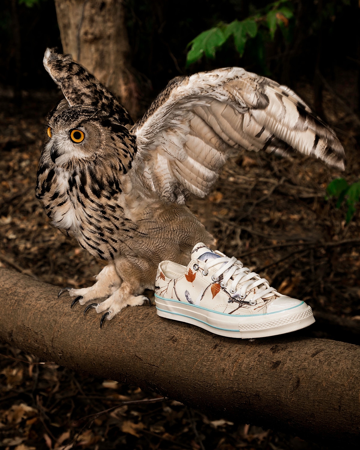 GOLF WANG x Converse Chuck 70 Owl 3