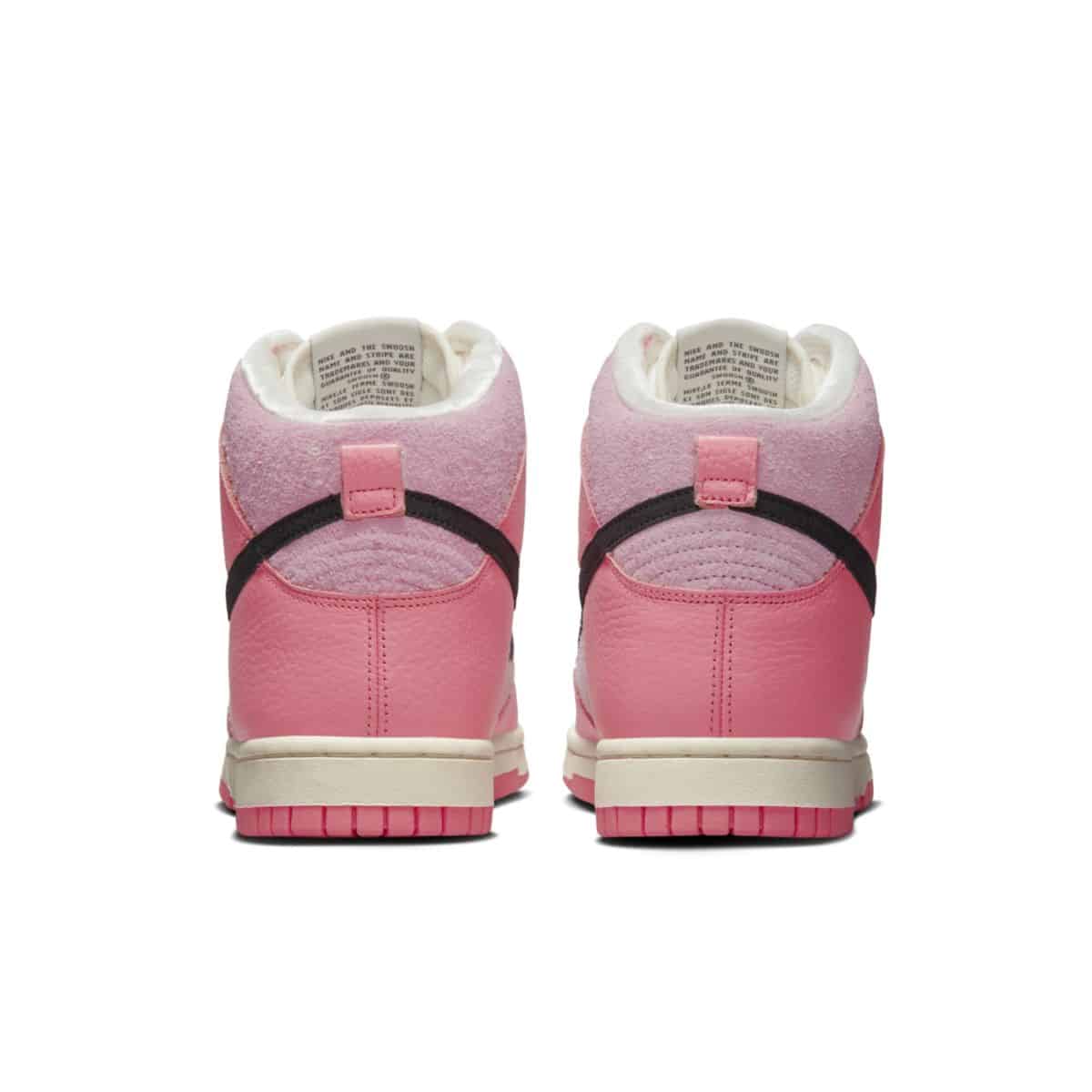 Nike Dunk High Hoops DX3359-600 6