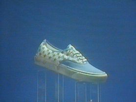 Vault by Vans Bianca Chandon 2