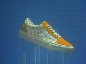Vault by Vans Bianca Chandon 5