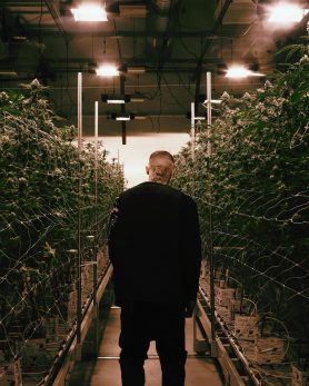 Lookbook Black Scale FA22 7