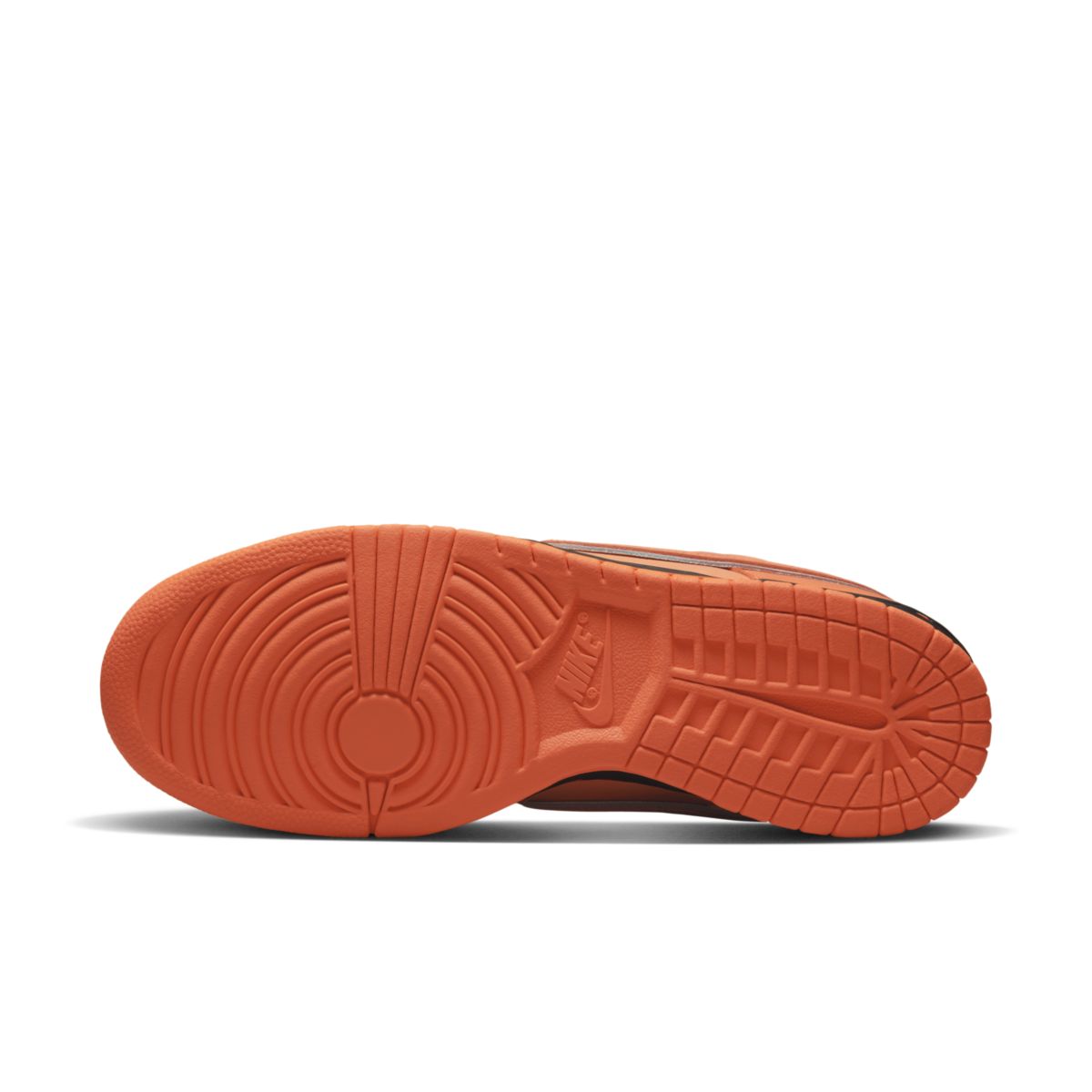 Concepts x Nike SB Dunk Low Orange Lobster FD8776-800 1