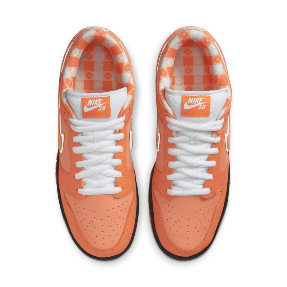 Concepts x Nike SB Dunk Low Orange Lobster FD8776-800 5