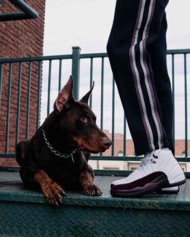Lookbook A MA MANIERE AIR JORDAN XII WHITE 1