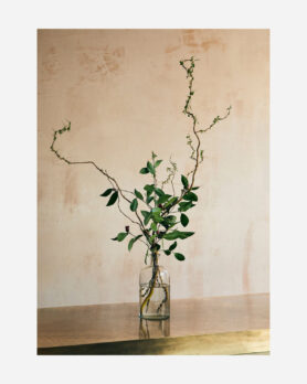 Maharishi x Mizuno Wave Rider 10 Fire Phoenix 4