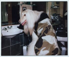 Lookbook Barbour x Palace Skateboards Fall 2023 5