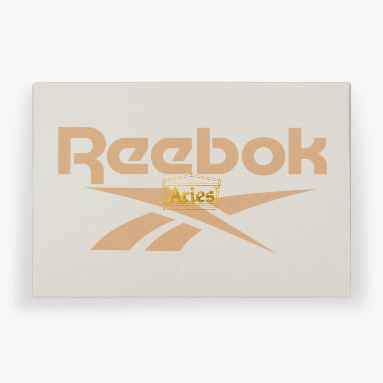 Aries x Reebok Classic Leather Mystics Shoe 100201988 1