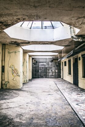 Dominik Jan Gralak x Converse Cave 1