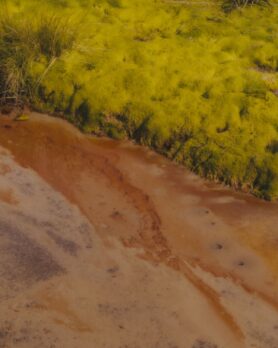 Editorial and Wander Spring Summer 2024 11