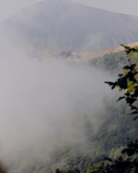 Editorial and Wander Spring Summer 2024 12