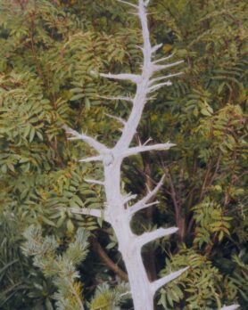 Editorial and Wander Spring Summer 2024 34