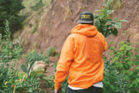 Lookbook Vans Skateboarding x Spitfire Wheels Spring 2024 25