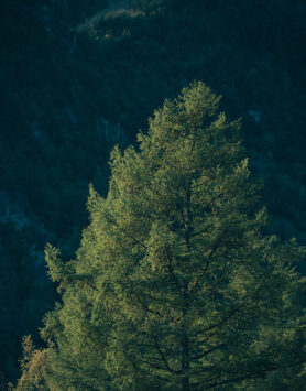 Lookbook and Wander x Gramicci Spring Summer 2024 8