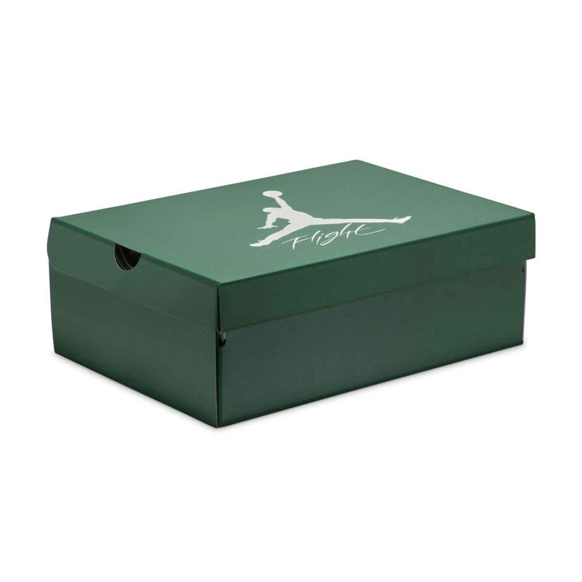 Air Jordan 4 Oxidized Green FQ8138-103 P