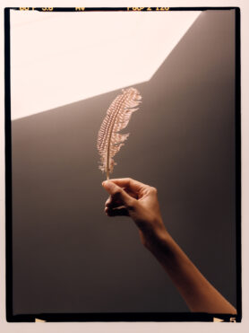 Editorial NOAH Autumn Winter 2024 15