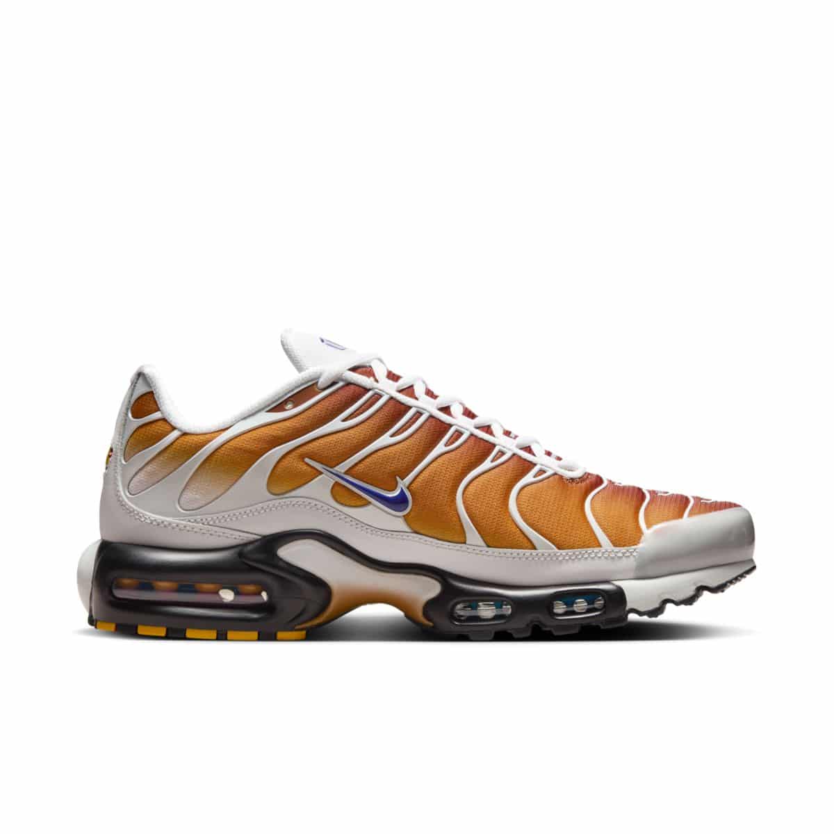 One Block Down x Nike Air Max Plus Reverse FZ3308-700 C