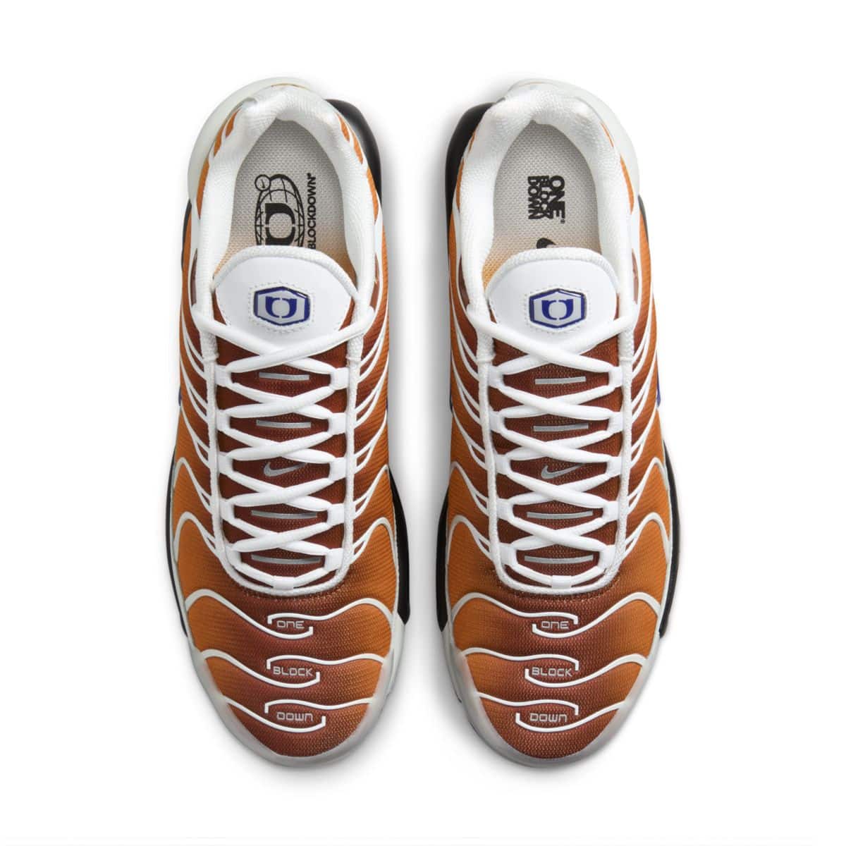 One Block Down x Nike Air Max Plus Reverse FZ3308-700 D