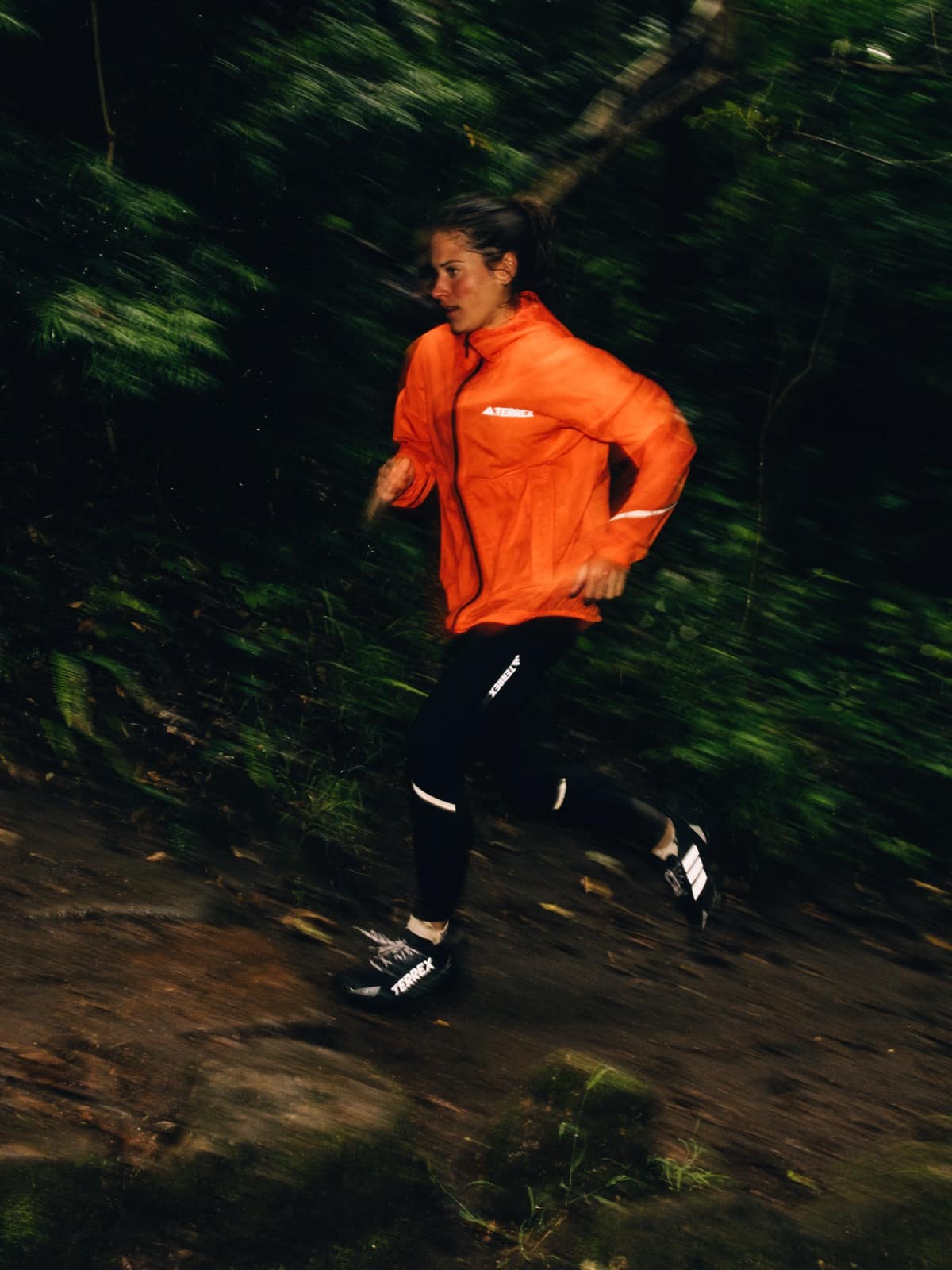 adidas TERREX Agravic GORE-TEX premiera 5