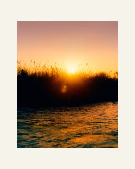 Editorial NOAH NYC Spring Summer 2025 13