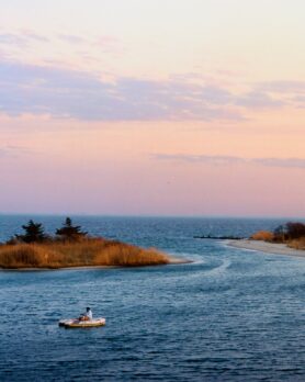 Editorial NOAH NYC Spring Summer 2025 28