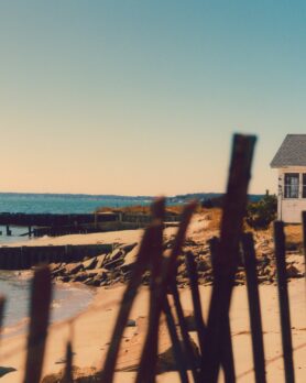 Editorial NOAH NYC Spring Summer 2025 9