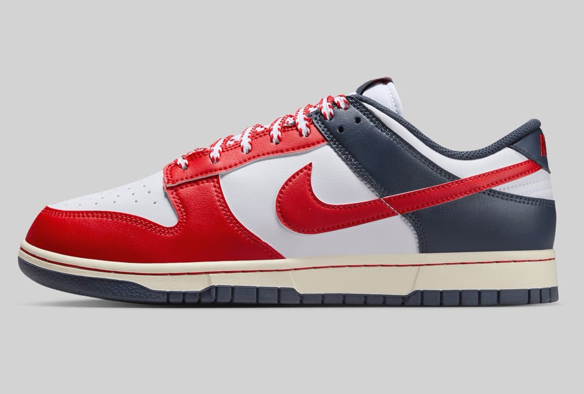 Nike Dunk Low USA IM2222-100 2