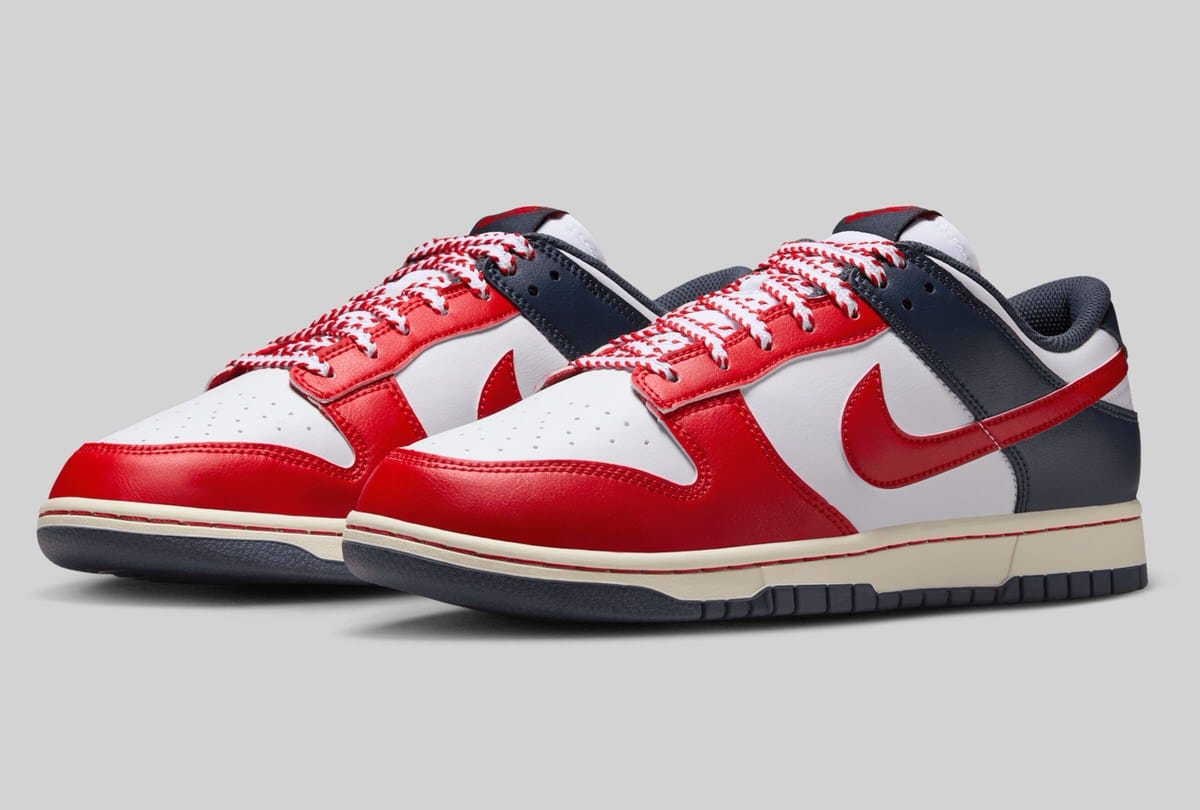 Nike Dunk Low USA IM2222-100 4