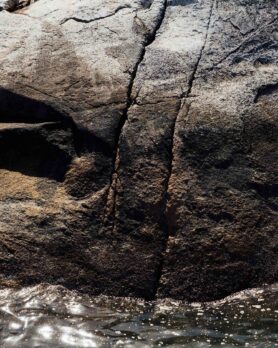 Campaign HAVEN Summer 2025 11