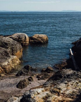 Campaign HAVEN Summer 2025 4