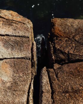 Campaign HAVEN Summer 2025 7