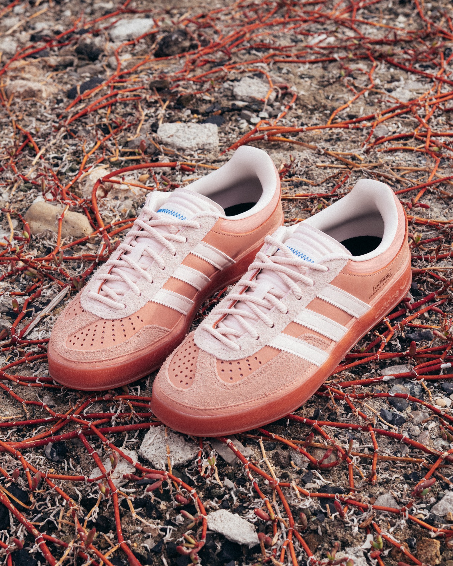 Bad Bunny x adidas Gazelle Indoor Cabo Rojo JS5052 3