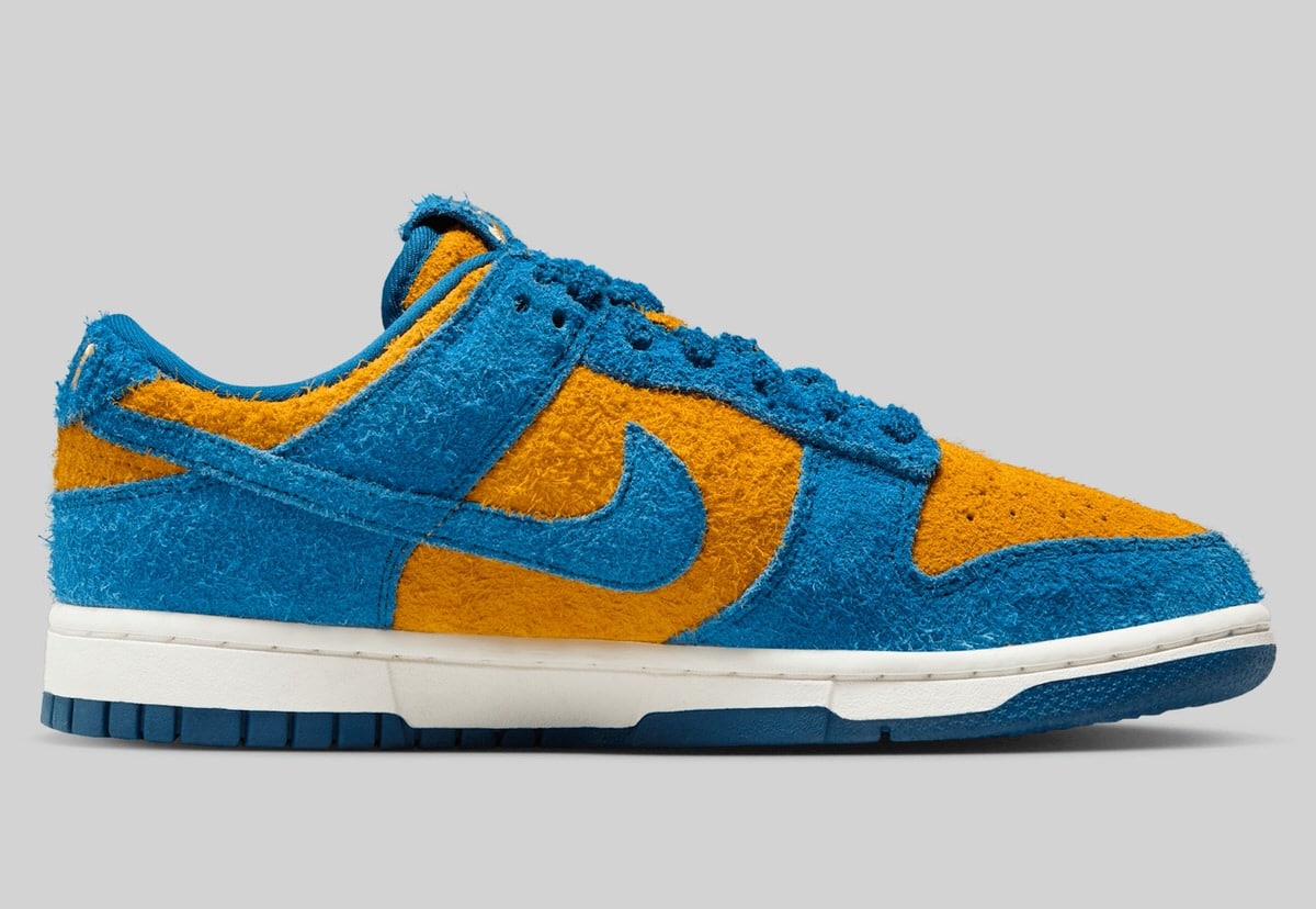 Nike Dunk Low Panda Blue Gold IH7648-700 3
