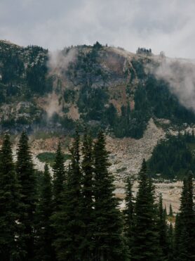 Editorial HAVEN Fall 2025 Exploration and Introspection 4