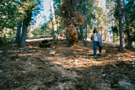 Lookbook Fucking Awesome Fall 2025 3