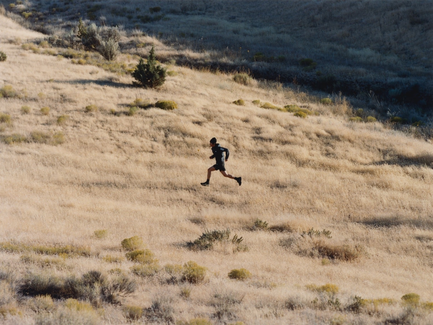 Humanrace x adidas Adizero SL Earth Fall 2025 5