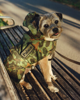 Lookbook Barbour x Palace Skateboards Winter 2025 5