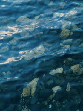 Editorial HAVEN Winter 2025 Reflections from Japan 1