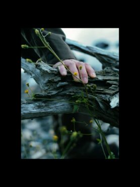 Editorial HAVEN Winter 2025 Reflections from Japan 15