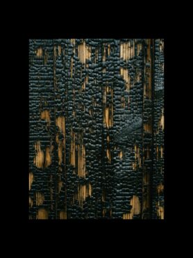 Editorial HAVEN Winter 2025 Reflections from Japan 27