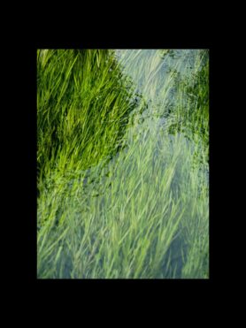 Editorial HAVEN Winter 2025 Reflections from Japan 8