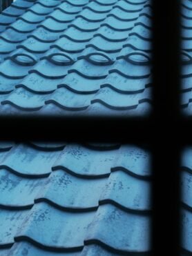 Editorial HAVEN Winter 2025 Reflections from Japan 9