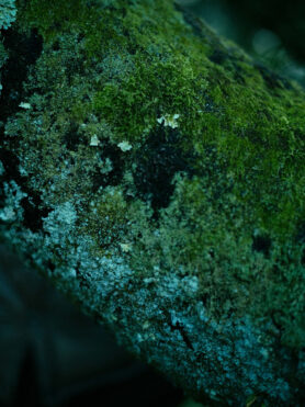 Lookbook HAVEN x Nanga 2025 Tokyo Field Tester 4