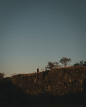 Lookbook nonnative × WILD THINGS Fall Winter 2025 21