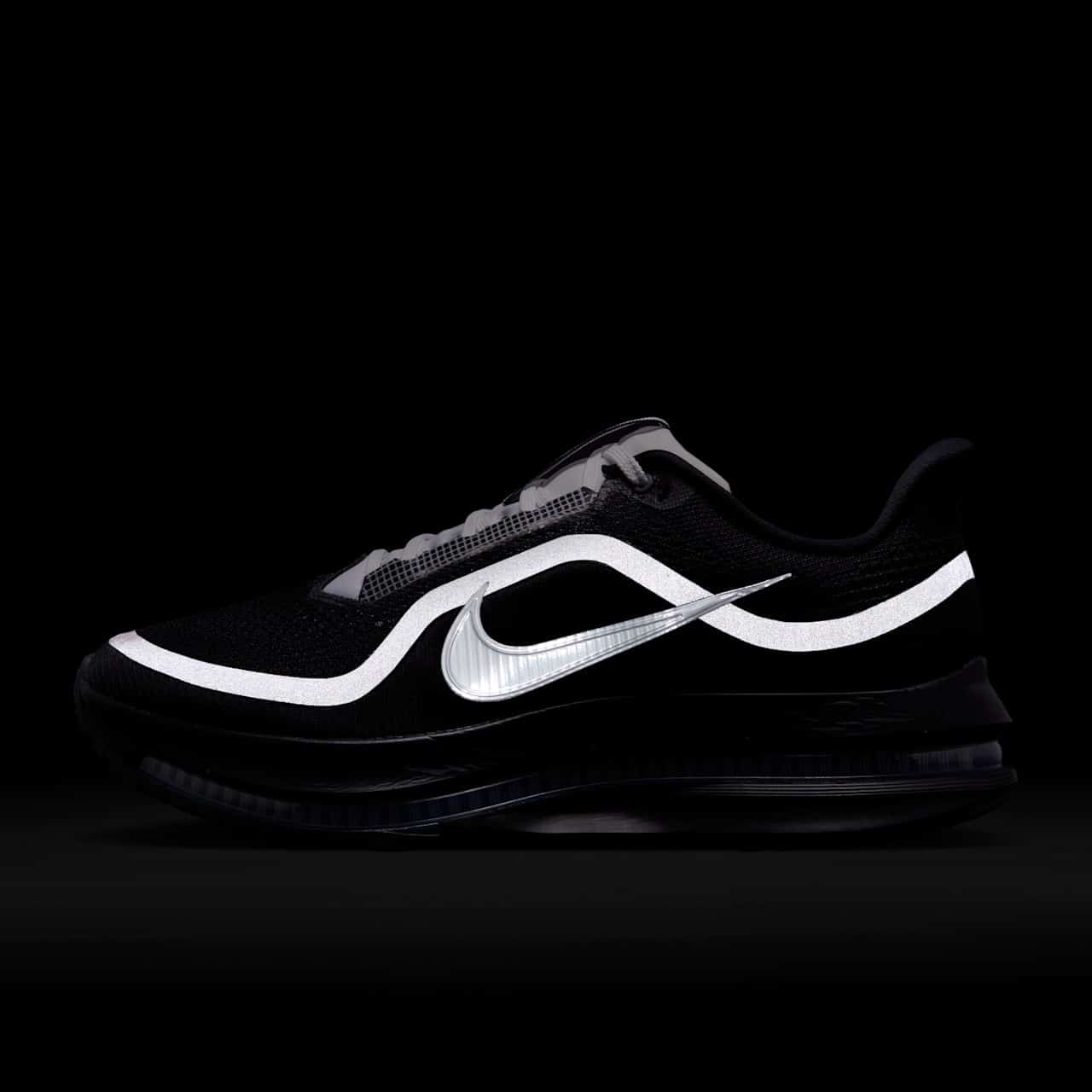 Nike Pegasus Premium Black Metallic Silver White IH4369-001 9
