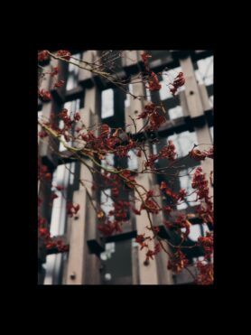 Editorial by HAVEN Pre-Spring 2026 19