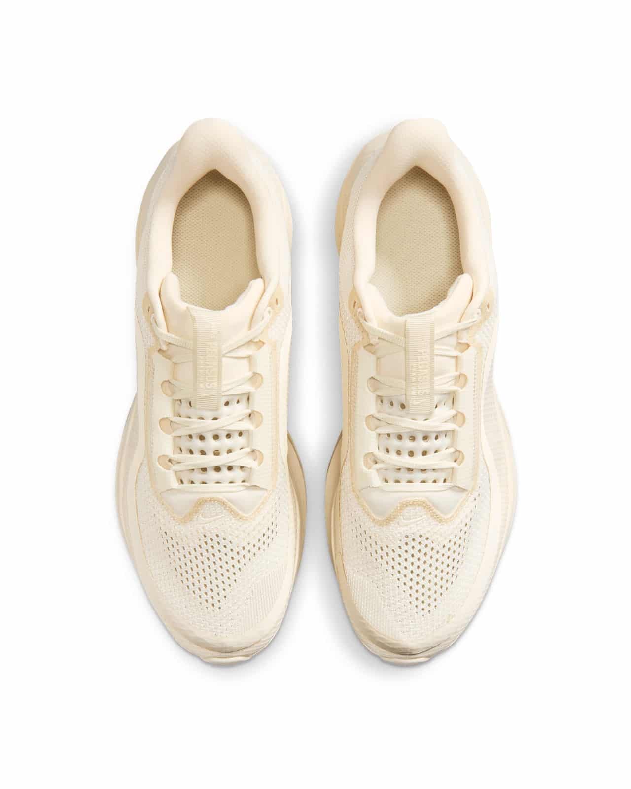 Nike Pegasus Premium Natural IQ5691-100 5