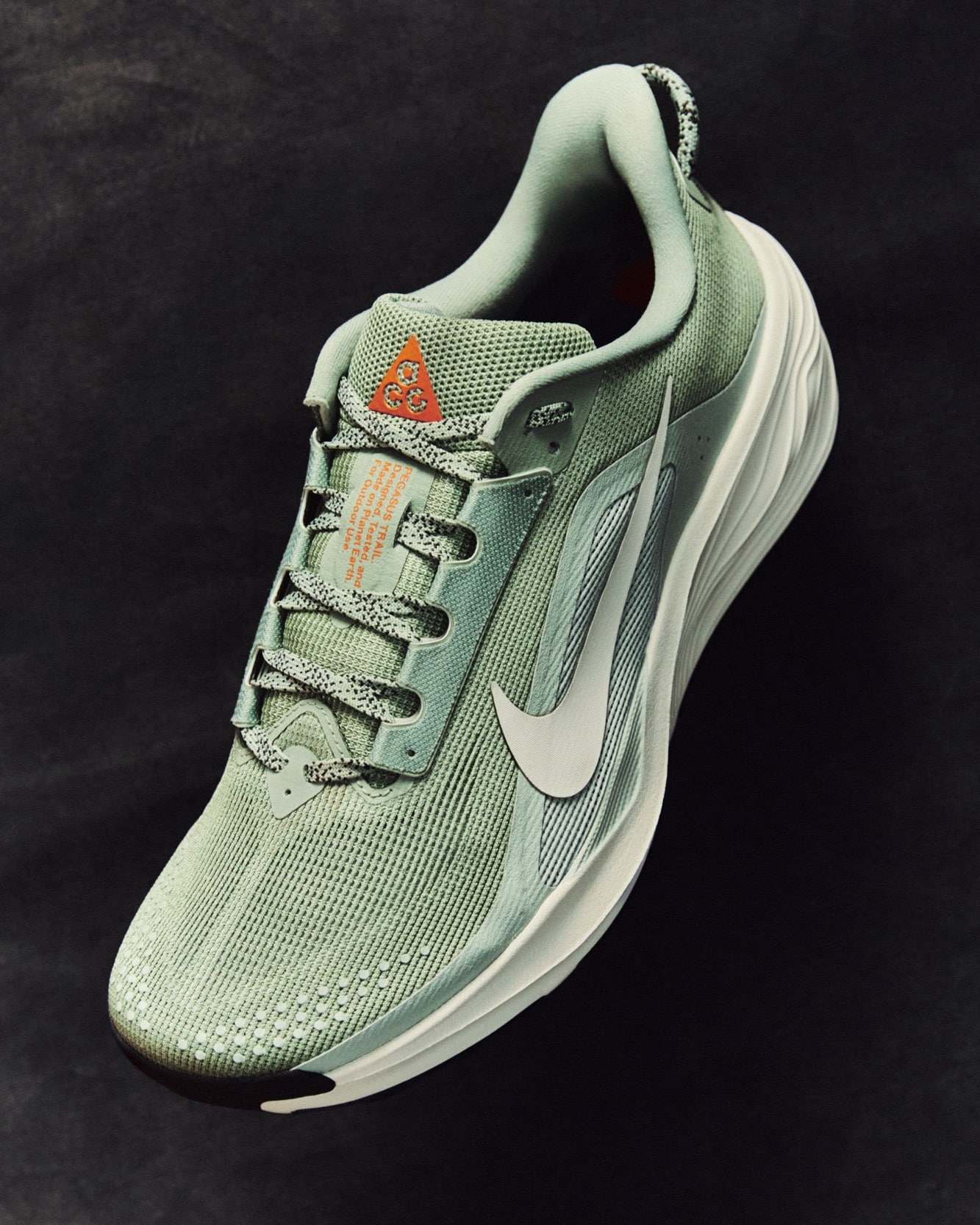 Nike ACG Pegasus Trail Premiera2