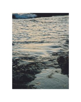 Editorial HAVEN Along the Coast Spring 2026 11